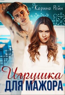 Игрушка для мажора — Карина Рейн